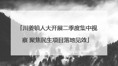 川姜镇人大开展二季度集中视察 聚焦民生项目落地见效