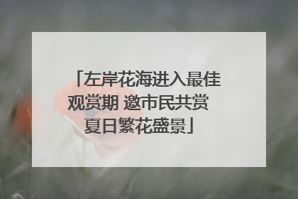 左岸花海进入最佳观赏期 邀市民共赏夏日繁花盛景