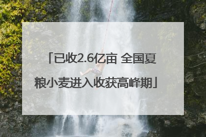 已收2.6亿亩 全国夏粮小麦进入收获高峰期