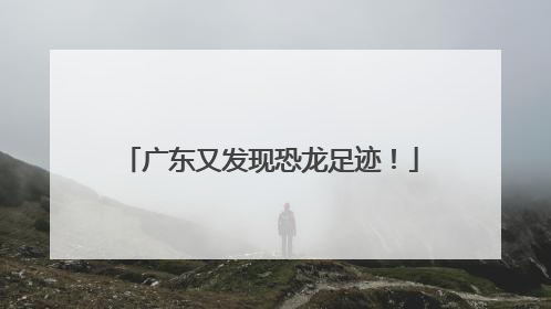 广东又发现恐龙足迹！