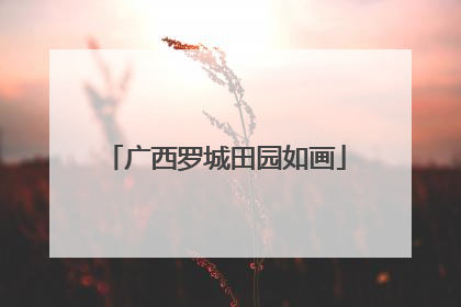 广西罗城田园如画