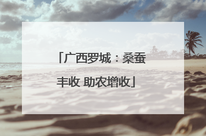 广西罗城：桑蚕丰收 助农增收