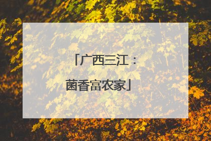 广西三江：菌香富农家