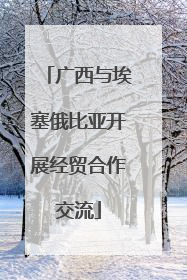 广西与埃塞俄比亚开展经贸合作交流