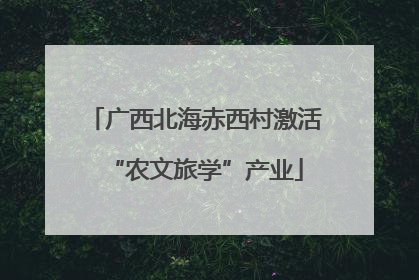 广西北海赤西村激活“农文旅学”产业