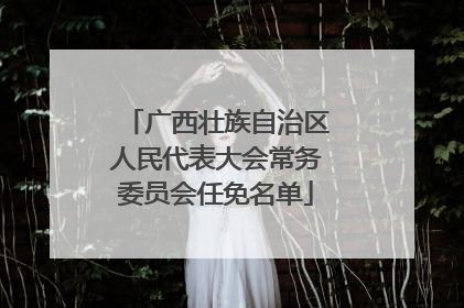 广西壮族自治区人民代表大会常务委员会任免名单