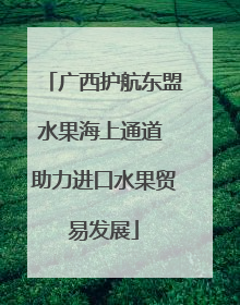 广西护航东盟水果海上通道 助力进口水果贸易发展