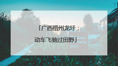 广西梧州龙圩：动车飞驰过田野