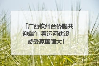 广西钦州台侨胞共迎端午 看运河建设感受家国强大