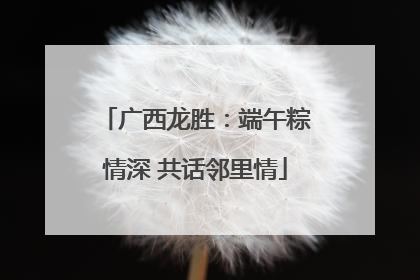 广西龙胜：端午粽情深 共话邻里情