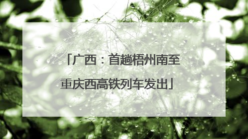 广西：首趟梧州南至重庆西高铁列车发出
