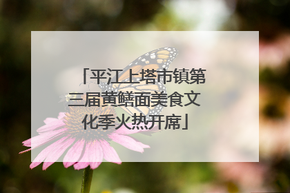 平江上塔市镇第三届黄鳝面美食文化季火热开席