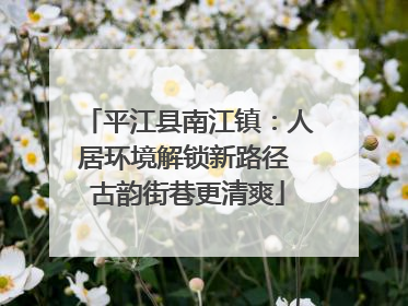 平江县南江镇：人居环境解锁新路径 古韵街巷更清爽