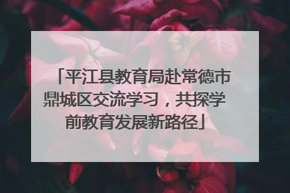 平江县教育局赴常德市鼎城区交流学习，共探学前教育发展新路径
