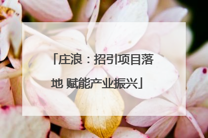 庄浪：招引项目落地 赋能产业振兴