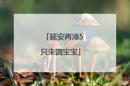 延安再添5只朱鹮宝宝