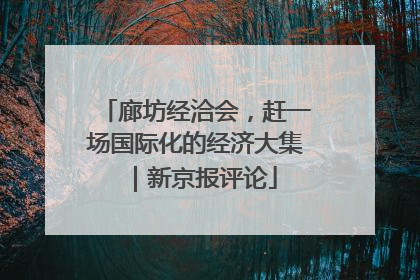 廊坊经洽会，赶一场国际化的经济大集｜新京报评论