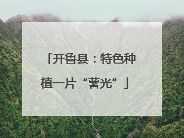 开鲁县：特色种植一片“薯光”