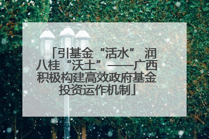引基金“活水” 润八桂“沃土”——广西积极构建高效政府基金投资运作机制