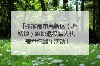 张家港市高新区（塘桥镇）组织退役军人代表举行端午活动