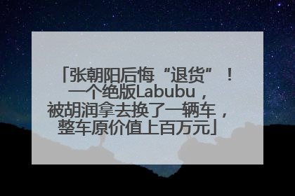 张朝阳后悔“退货”！一个绝版Labubu，被胡润拿去换了一辆车，整车原价值上百万元