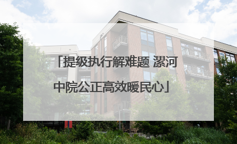 提级执行解难题 漯河中院公正高效暖民心