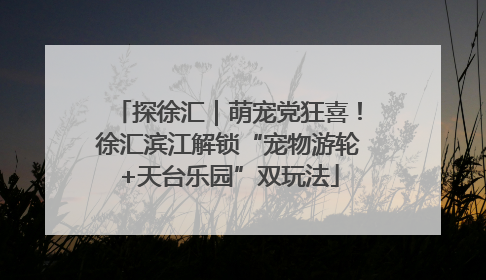 探徐汇｜萌宠党狂喜！徐汇滨江解锁“宠物游轮+天台乐园”双玩法