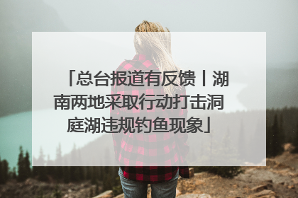 总台报道有反馈丨湖南两地采取行动打击洞庭湖违规钓鱼现象
