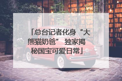 总台记者化身“大熊猫奶爸” 独家揭秘国宝可爱日常