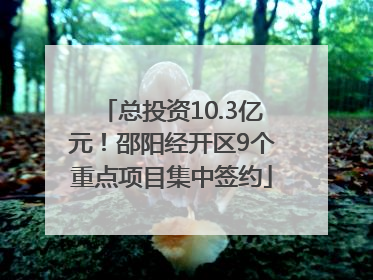 总投资10.3亿元！邵阳经开区9个重点项目集中签约