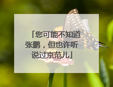 您可能不知道张鹏，但也许听说过京范儿
