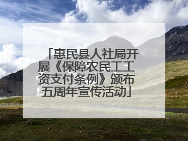 惠民县人社局开展《保障农民工工资支付条例》颁布五周年宣传活动