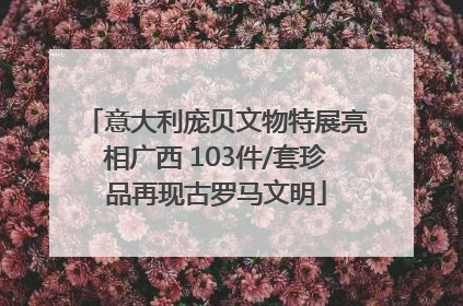 意大利庞贝文物特展亮相广西 103件/套珍品再现古罗马文明