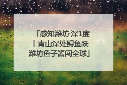 感知潍坊·深1度丨青山深处鲟鱼跃 潍坊鱼子酱闯全球