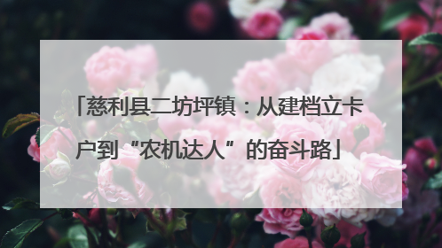 慈利县二坊坪镇：从建档立卡户到“农机达人”的奋斗路