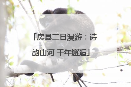 房县三日漫游：诗韵山河 千年邂逅