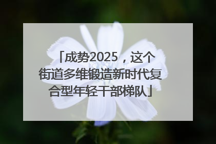 成势2025，这个街道多维锻造新时代复合型年轻干部梯队