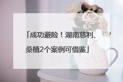 成功避险！湖南慈利、桑植2个案例可借鉴