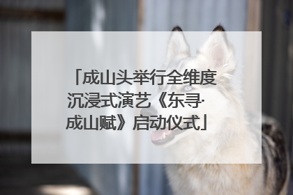 成山头举行全维度沉浸式演艺《东寻·成山赋》启动仪式