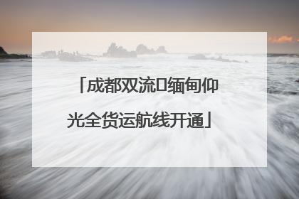 成都双流⇌缅甸仰光全货运航线开通