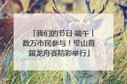 我们的节日·端午丨数万市民参与！璧山首届龙舟赛精彩举行