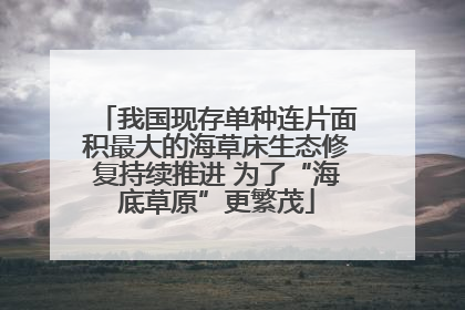 我国现存单种连片面积最大的海草床生态修复持续推进 为了“海底草原”更繁茂