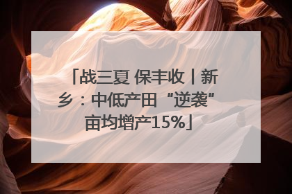 战三夏 保丰收丨新乡：中低产田“逆袭” 亩均增产15%