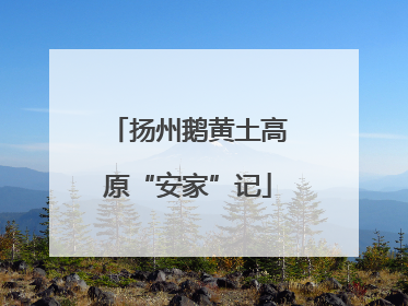 扬州鹅黄土高原“安家”记