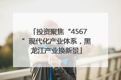 投资聚焦“4567”现代化产业体系，黑龙江产业换新景