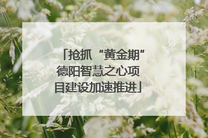 抢抓“黄金期” 德阳智慧之心项目建设加速推进