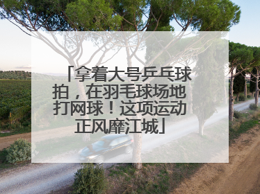 拿着大号乒乓球拍，在羽毛球场地打网球！这项运动正风靡江城