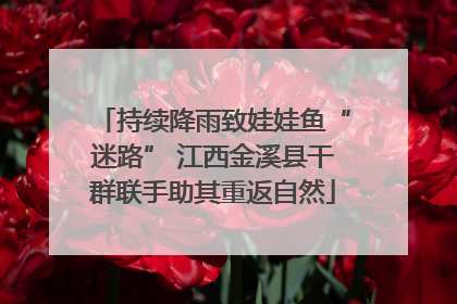 持续降雨致娃娃鱼“迷路” 江西金溪县干群联手助其重返自然