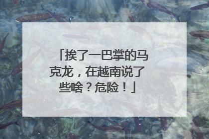 挨了一巴掌的马克龙，在越南说了些啥？危险！
