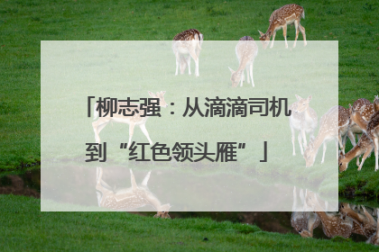 柳志强：从滴滴司机到“红色领头雁”